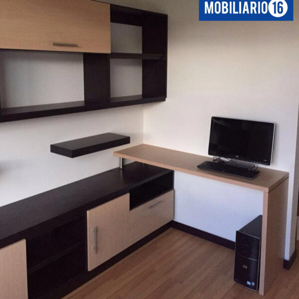 Escritorio 19